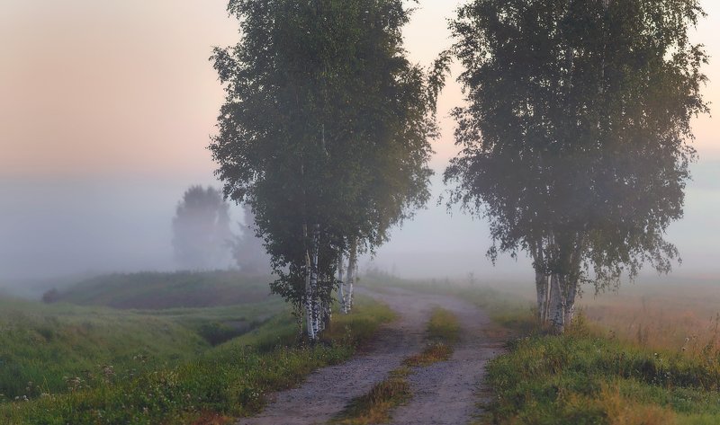 питер, пейзаж, царскоесело, пушкин . . .photo preview