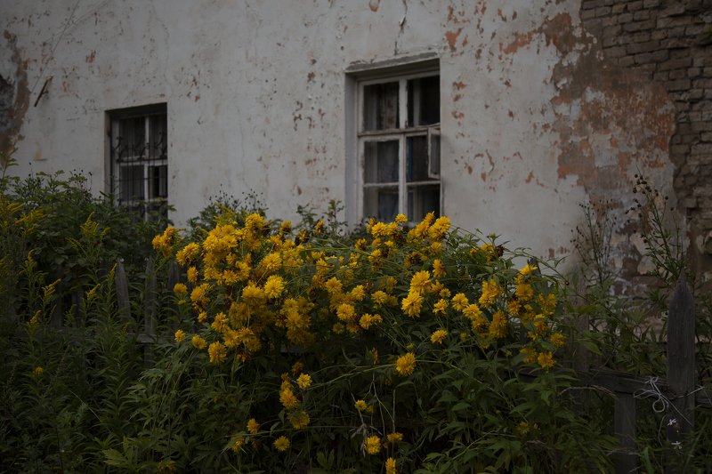 Сумеркиphoto preview