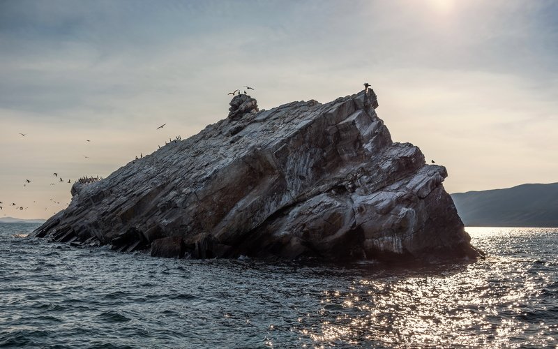 ник васильев, озеро, байкал, остров, ижилхей, пейзаж, природа, красота, птицы, баклан рыба-кит Чудо-юдо рыба-Кит.photo preview
