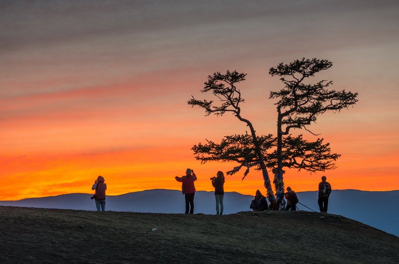 сибирь, озеро байкал, остров ольхон, дерево, лиственница, древо желаний, ник васильев, закат, фотографы Фотодесантphoto preview