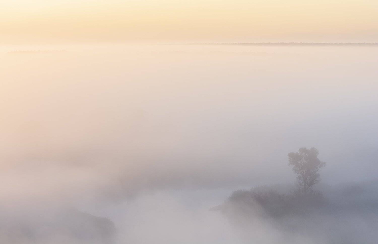, Дмитрий Новоселов