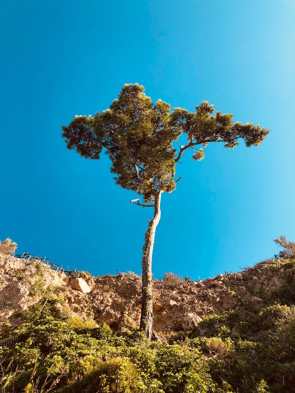 турция,кемер природаphoto preview