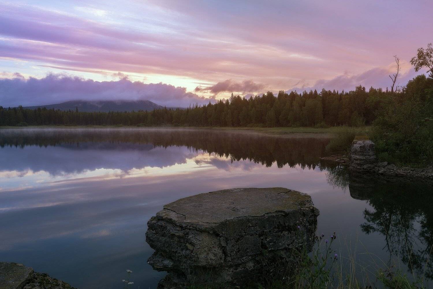 *******. Автор: Андрей Шарапов , Андрей Шарапов