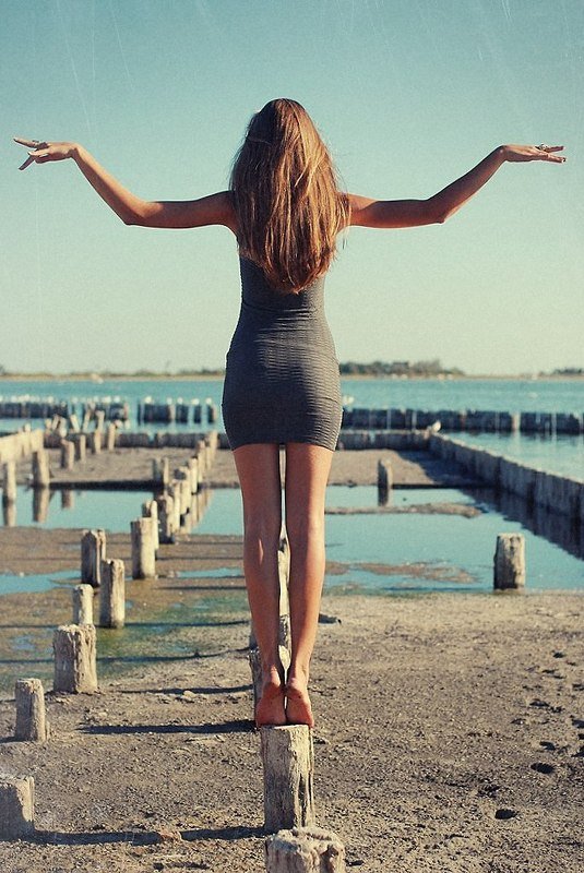 berebdey wingsphoto preview