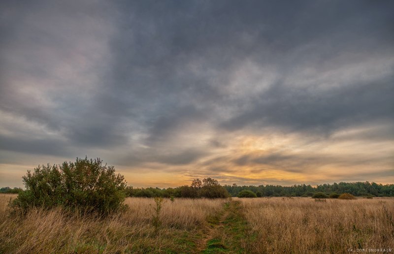 пейзаж, природа, путешествия, travel, wildlife, nature, landscape, canon, colours, clouds, dramatic sky, sunrise, рассвет Рассвет над полемphoto preview
