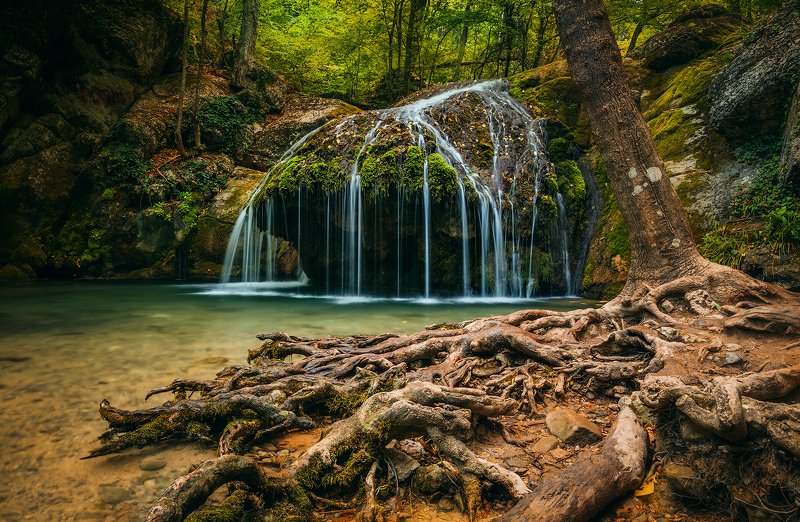 крым, водопад, лес, река, пейзаж, лето, вода, деревья, россия,  хапхал, ущелье, улу-узень И у водопадов есть корни...photo preview