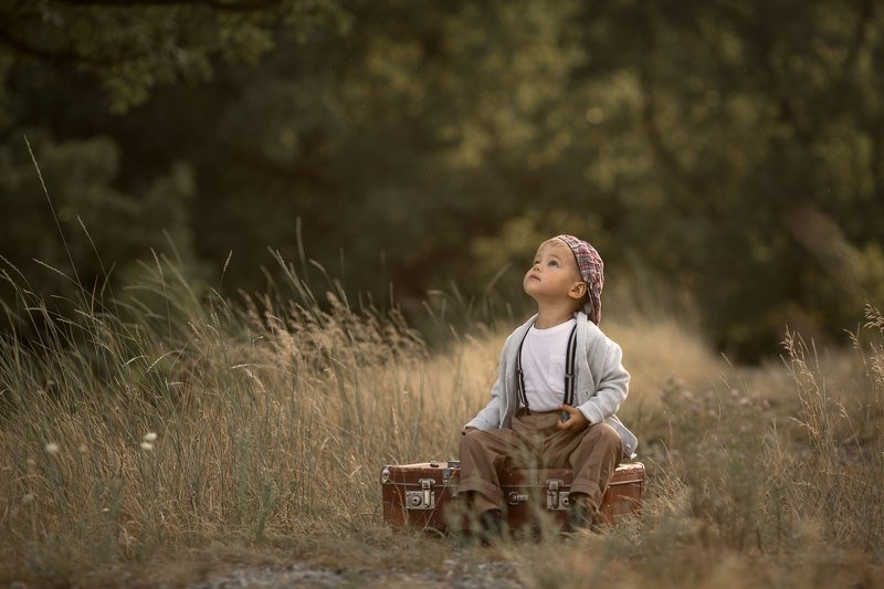 kids, детская, история, кино, съемка, с, животными История одного чемоданаphoto preview