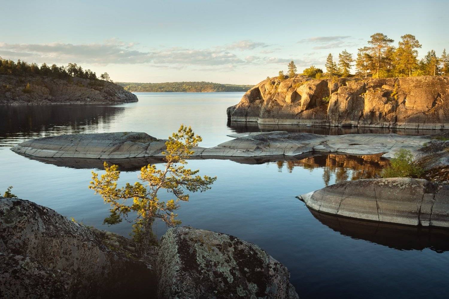 "Лето на Ладоге". Автор: Арсений Кашкаров Ладога, ладожские шхеры, лето, сосна, Арсений Кашкаров