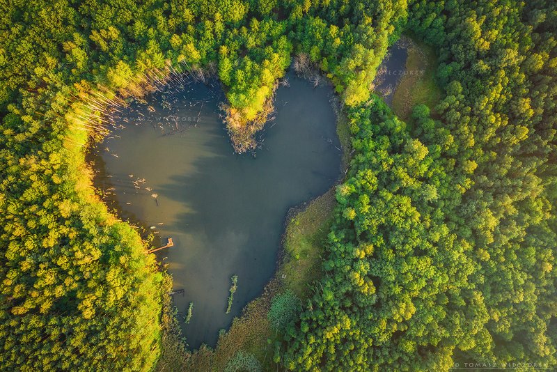 drone, dji, air, poland, polish, landscape, sunrise, sunset, colours, summer, awesome, amazing, adventure, travel, beautiful, morning, lake, pond, heart, love Love is everywherephoto preview