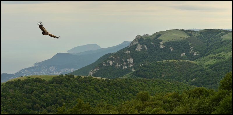 Крым в начале лета фото превью