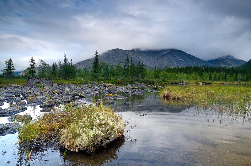 Хибинские тундры 2019-5photo preview