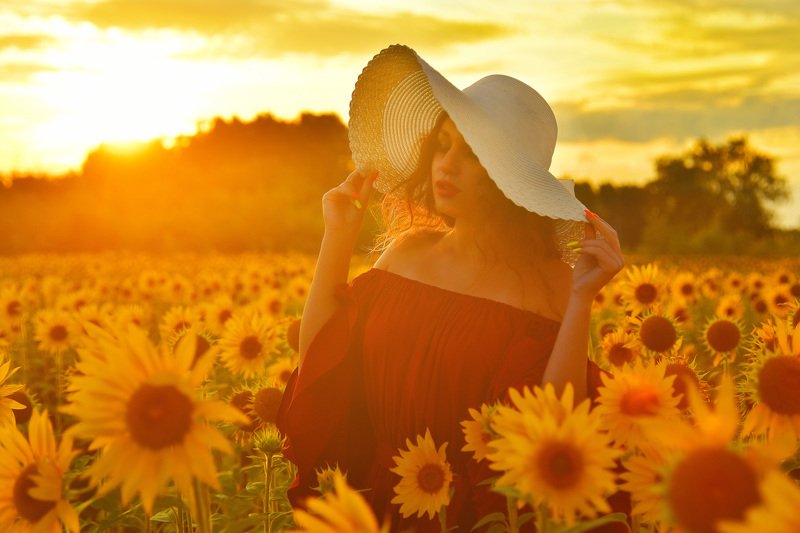 Закат летаphoto preview