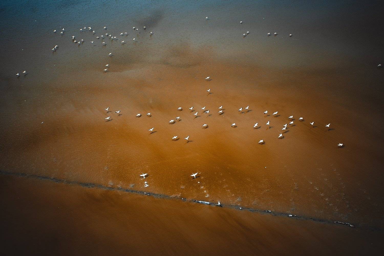 , Тодор Божков