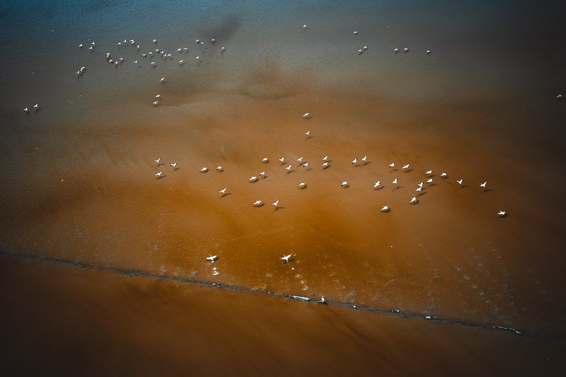 Freedom || Свободаphoto preview