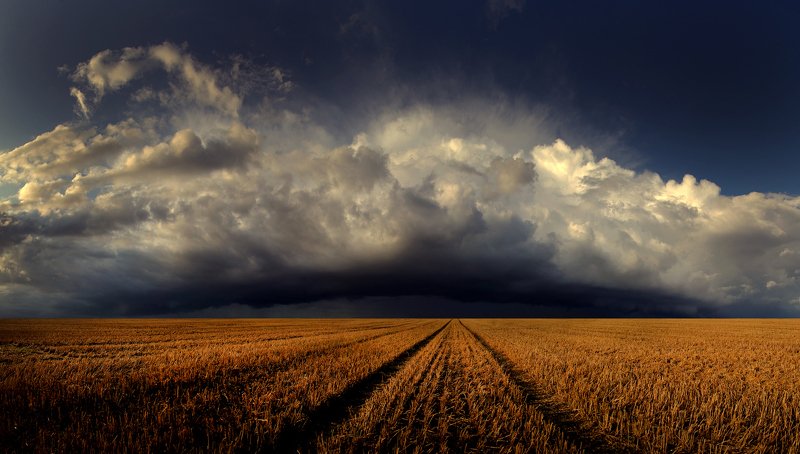 Lithuania, storm, clouds, field, summer *photo preview