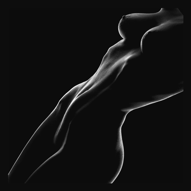 силуэтphoto preview