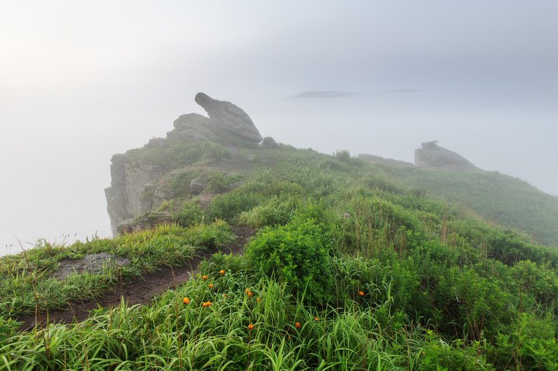 Берег Парящей черепахи и скала Пьющий верблюдphoto preview