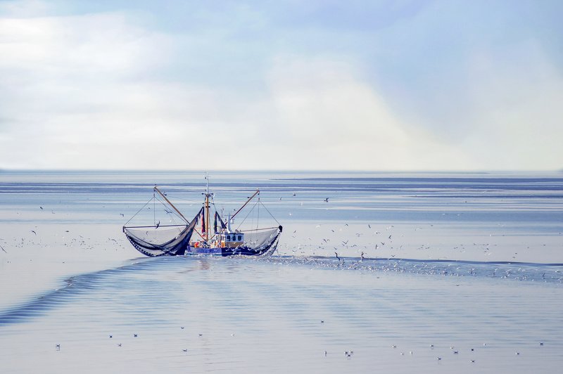 on the seaphoto preview