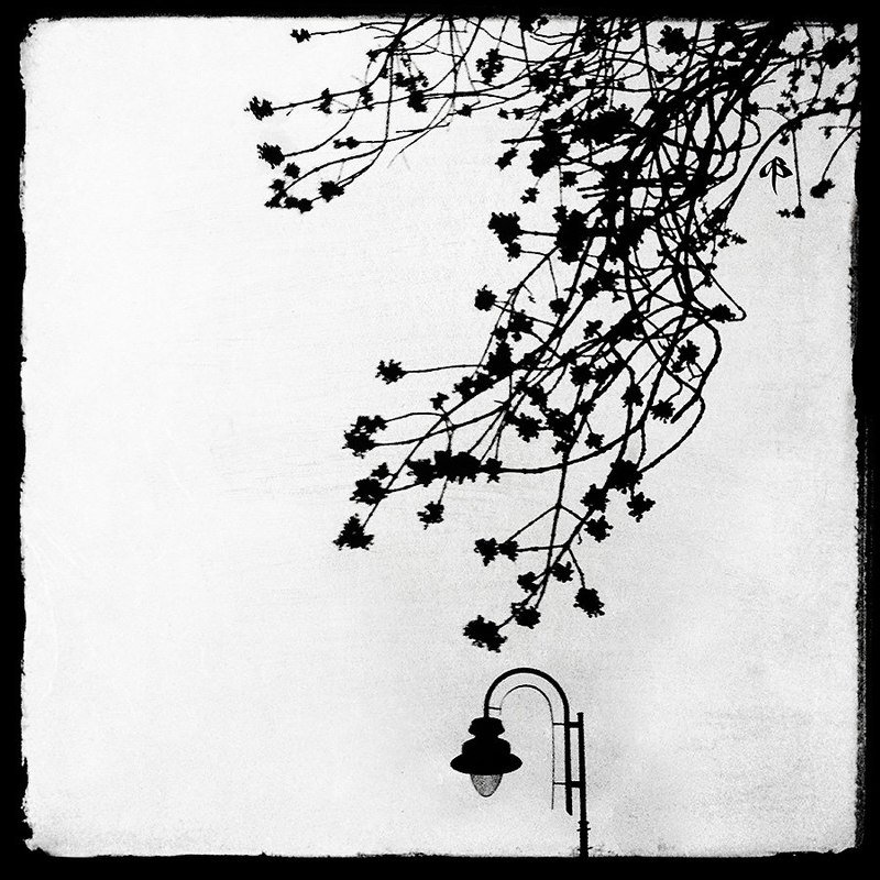 Пасмурные раздумьяphoto preview