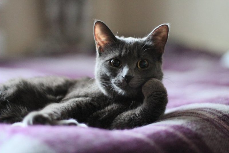 ...расскажите мне сказку...photo preview