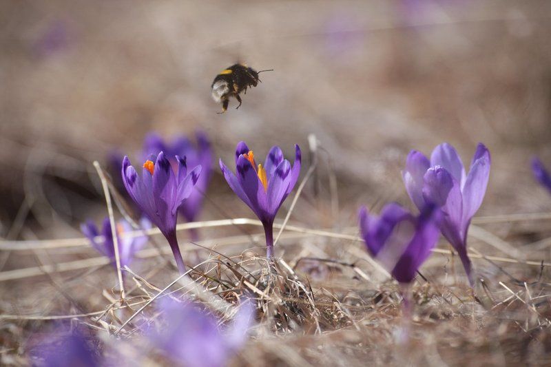 23 of Marchphoto preview