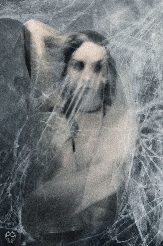 паутина photo preview