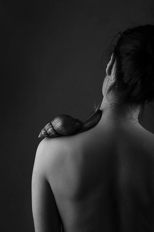 Улиткаphoto preview