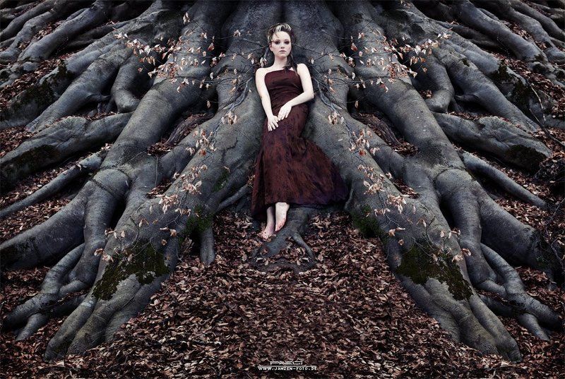 Waldnymphephoto preview