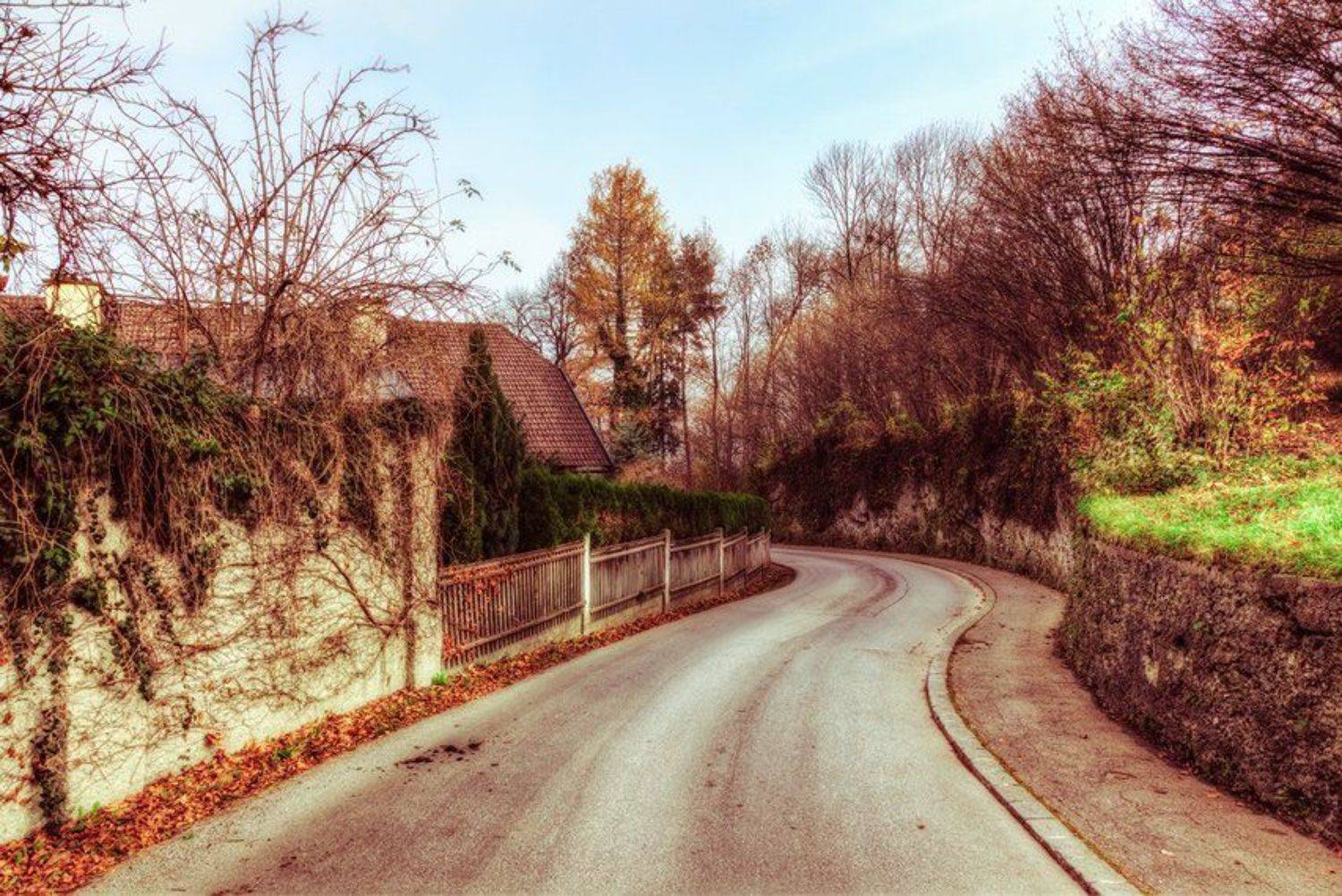 the curve. Автор: Sergey Shaposhnikov , Sergey Shaposhnikov