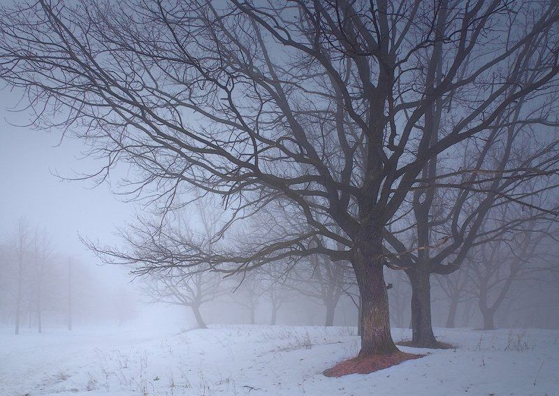 УТРО В ВИННОВКЕ. ЕЩЕ ОДНОphoto preview