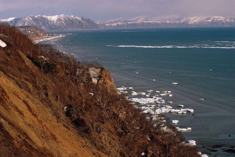 весна. photo preview