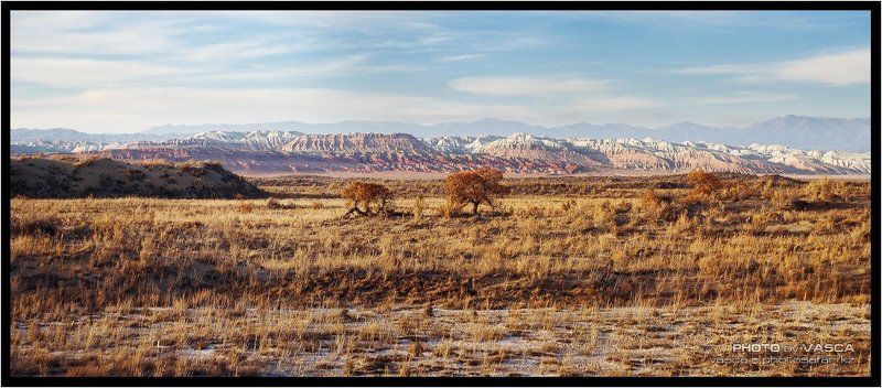 казахстан, фотосафари, алматы, kazakhstan, photo, safari Панорамкиphoto preview
