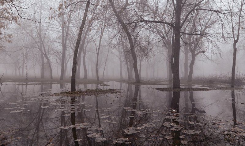 Весеннее утро в паркеphoto preview