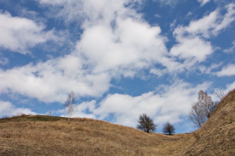 небо, облака, деревья, волна Дрейфуя по волнамphoto preview