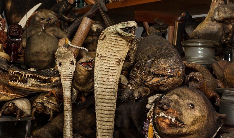 да мы просто зашли матрёшку купитьphoto preview