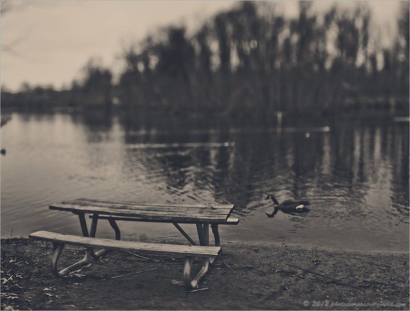 Alone...photo preview