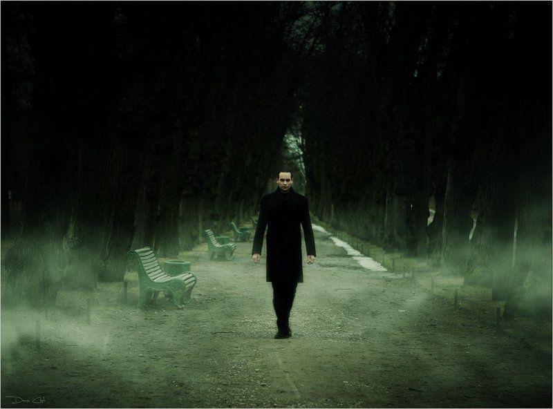 мужчина, портрет, аллея, туман photo preview