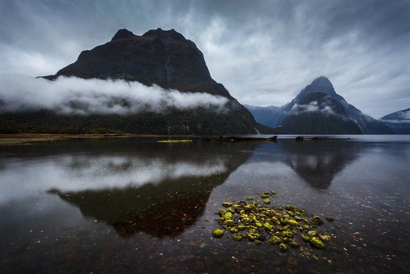 Зелёные камушкиphoto preview