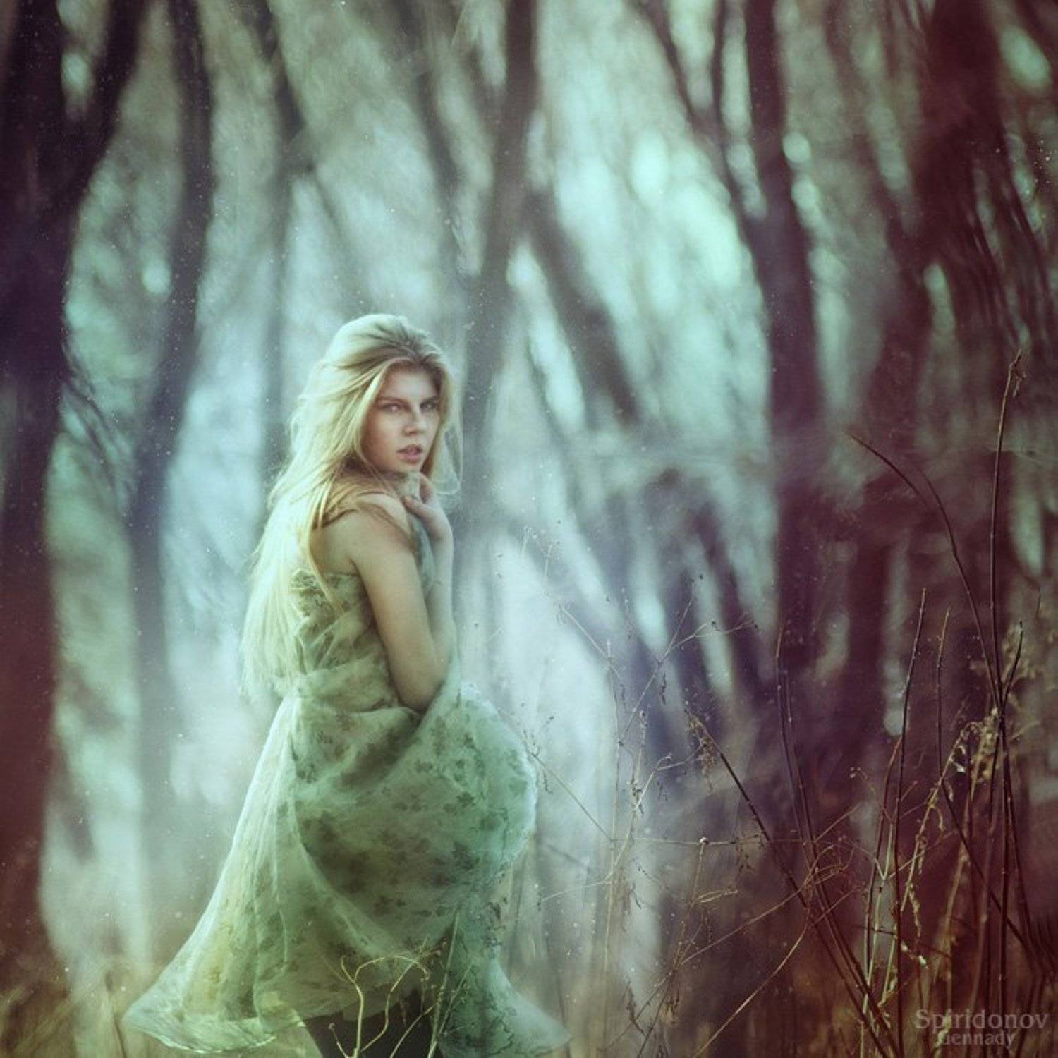 , Геннадий Спиридонов