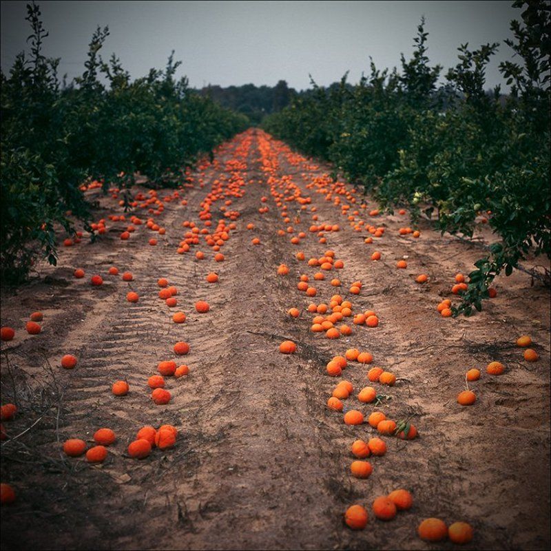Три мгновения смерти фото превью