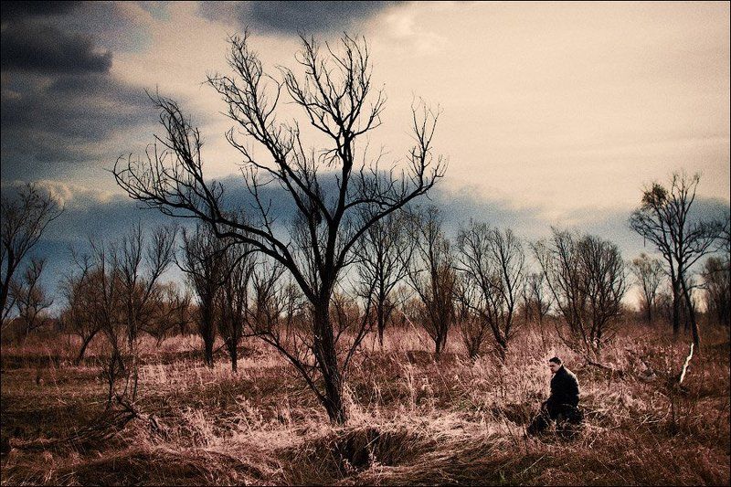 дерево Один...photo preview