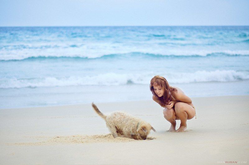 девушка, собака, море, тайланд Thai Dreamsphoto preview