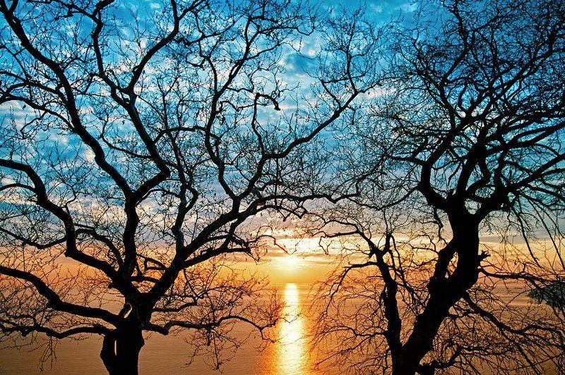 принцевы, острова View from St. George\'s Monasteryphoto preview