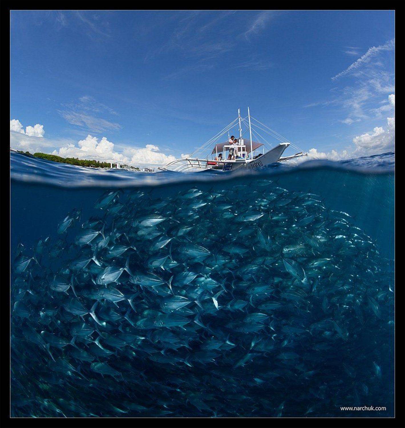 , Нарчук Андрей