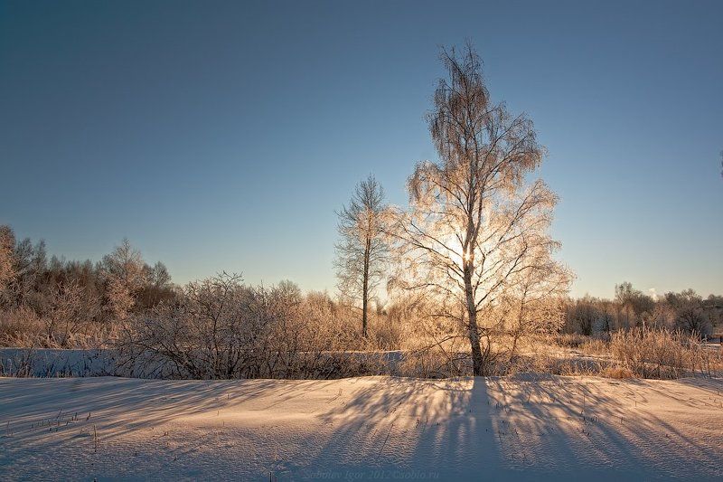 зима, Лучи, пейзаж, Солнце Зимний светphoto preview
