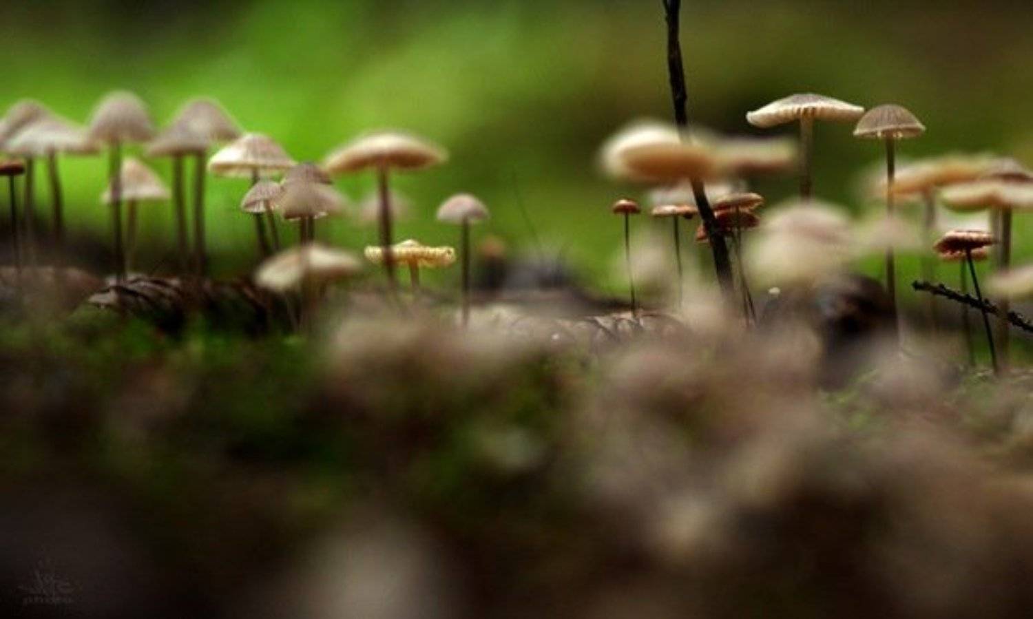 , Мухаметов Ильмир