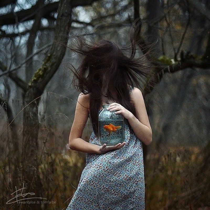 FirstFramephoto preview