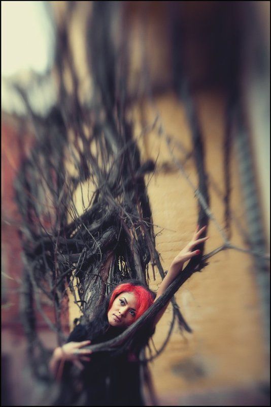 сон, ... сон ...photo preview