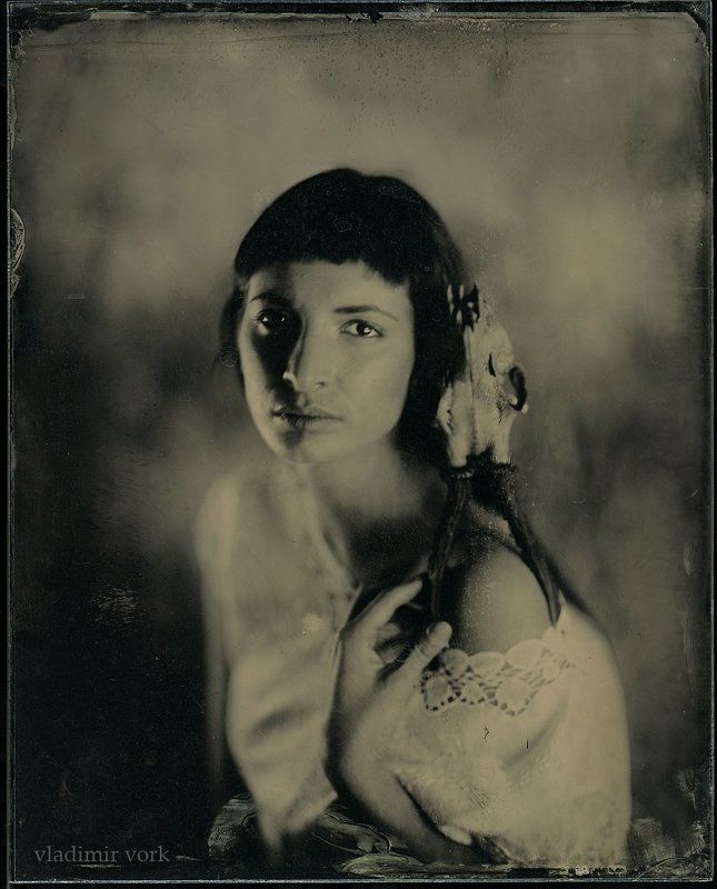 3b, 8x10, ambrotype, collodion, dallmeyer, Fine art, plate, Vladimirvork, wet тот мирphoto preview
