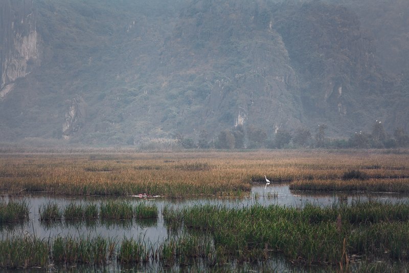 vietnam, morning,fog,travel, bird Morning poetryphoto preview